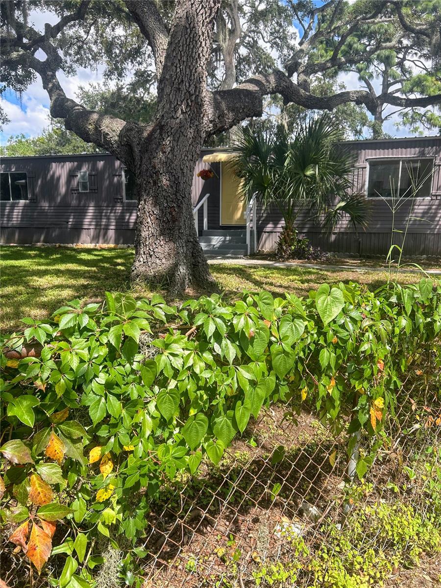 6719 CELESTE LN — photo 4