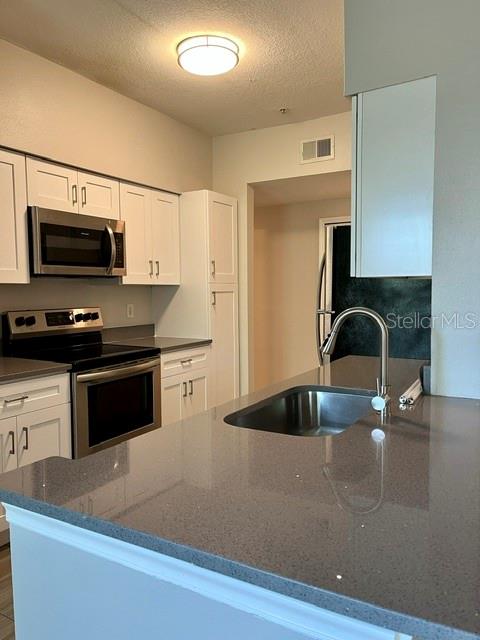 1810 E PALM AVE #4306 — photo 22