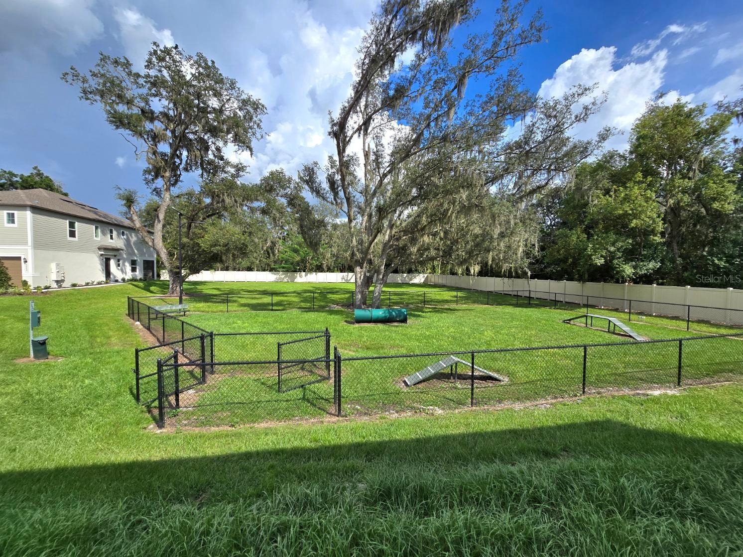 3258 LAPIS LAKE DRIVE — photo 22
