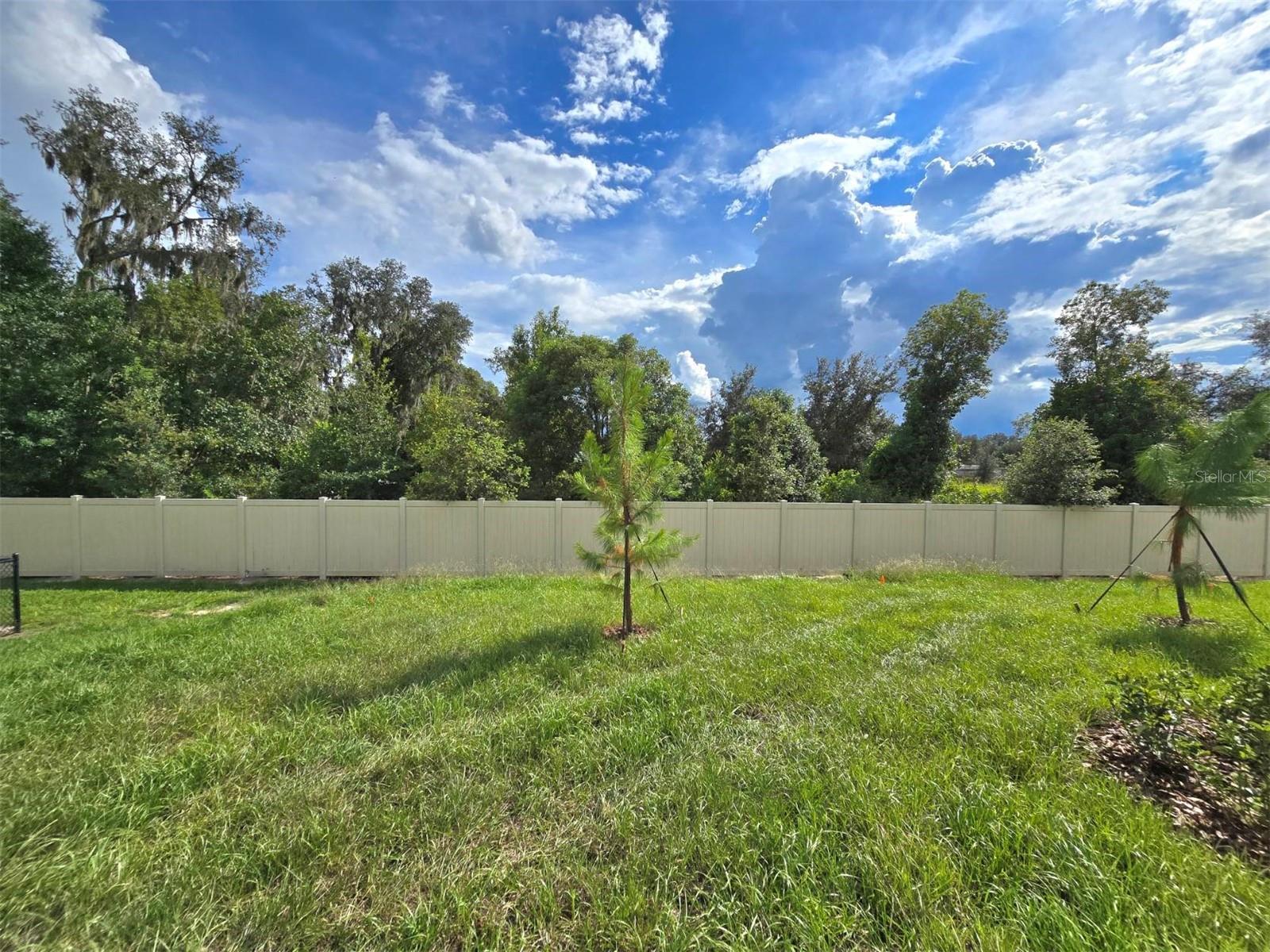 3258 LAPIS LAKE DRIVE — photo 27