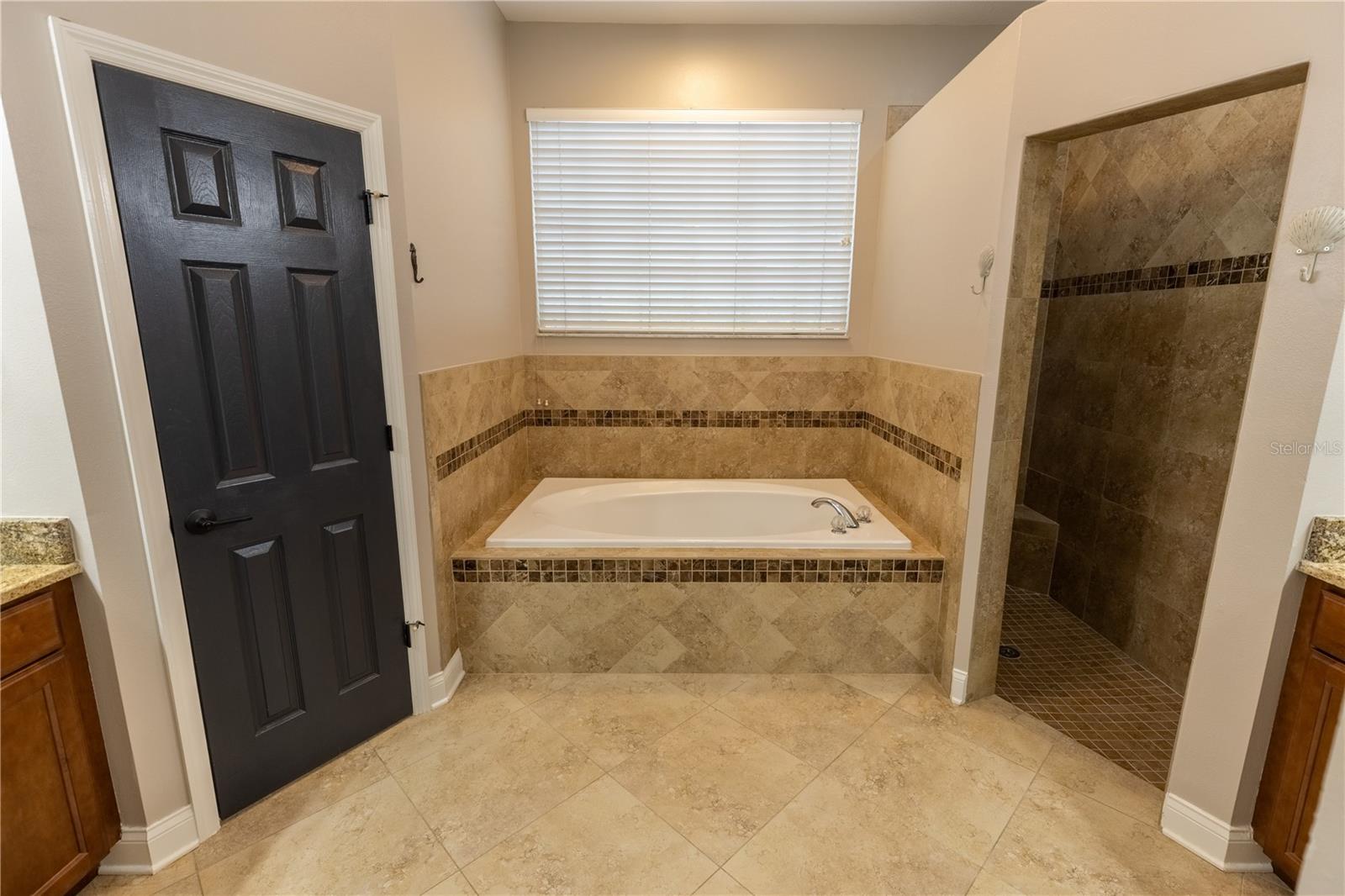 8917 EAGLE WATCH DR — photo 16