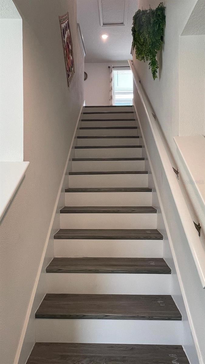 36117 SUNFLOWER HILL DR — photo 12