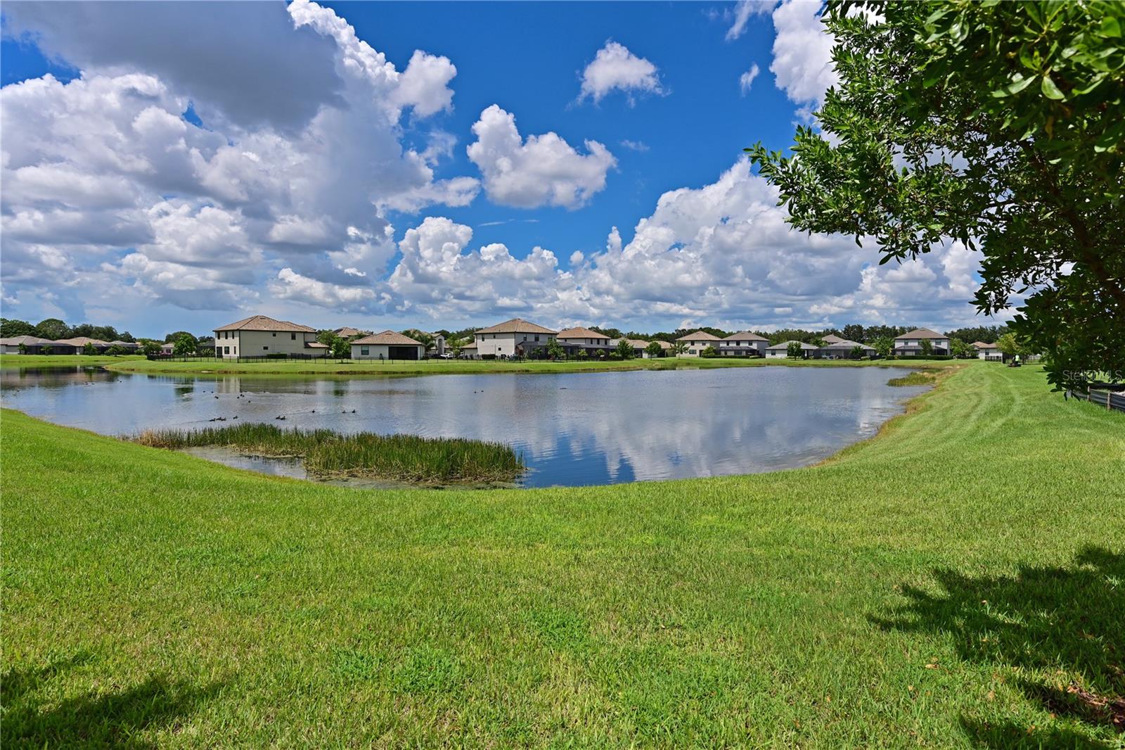 11525 AUTUMN LEAF WAY — photo 30