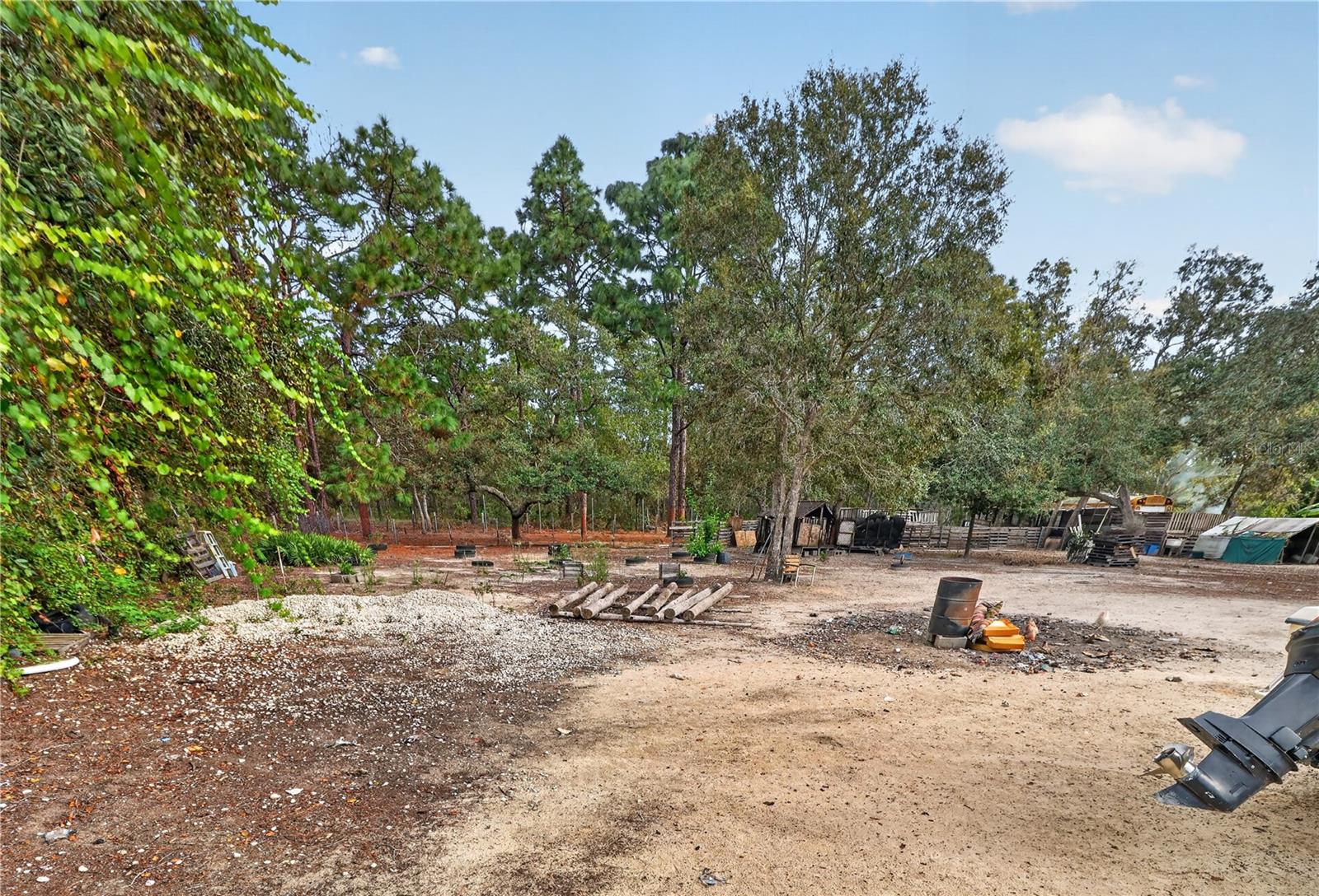 12627 BEAGLE RD — photo 31