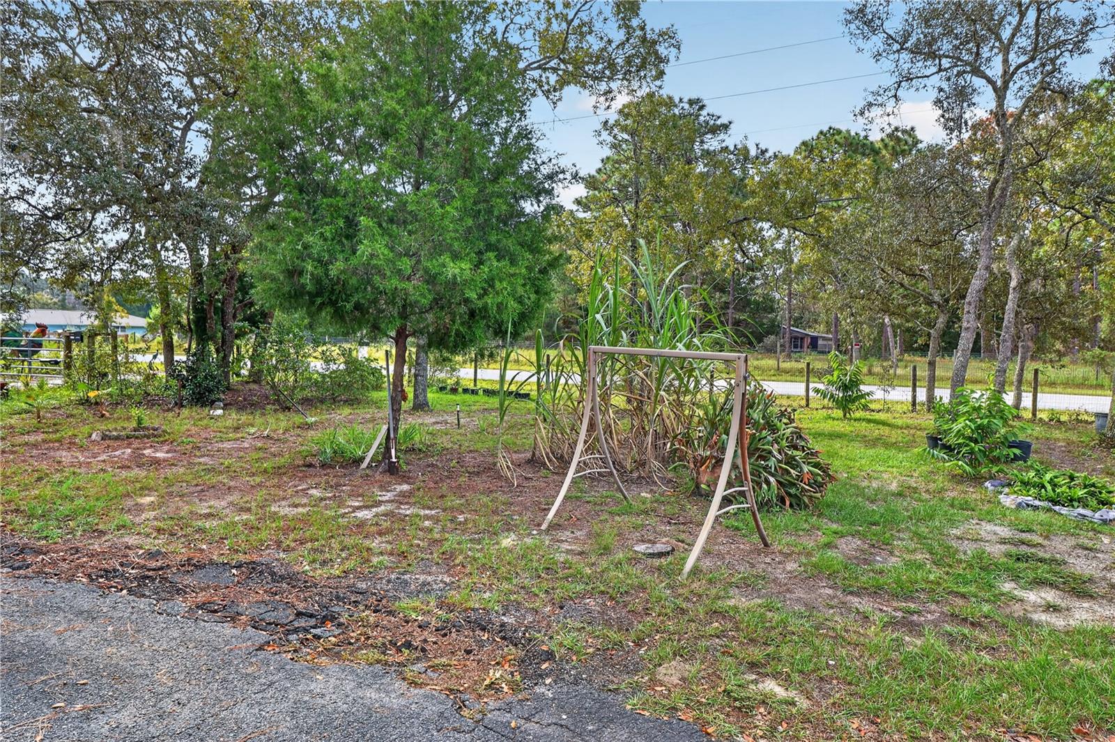 12627 BEAGLE RD — photo 33