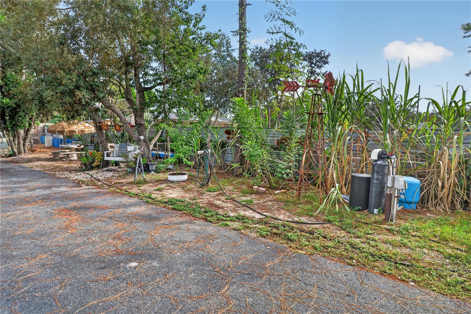 12627 BEAGLE RD — photo 34