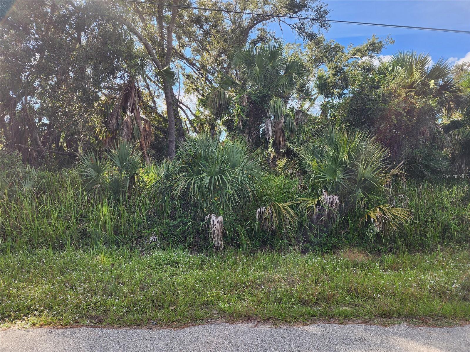 Lot 18 GILBERT ST — photo 3