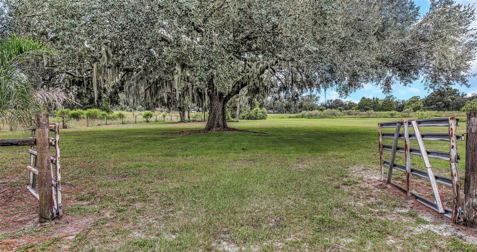 32632 TYNDALL RD — photo 94