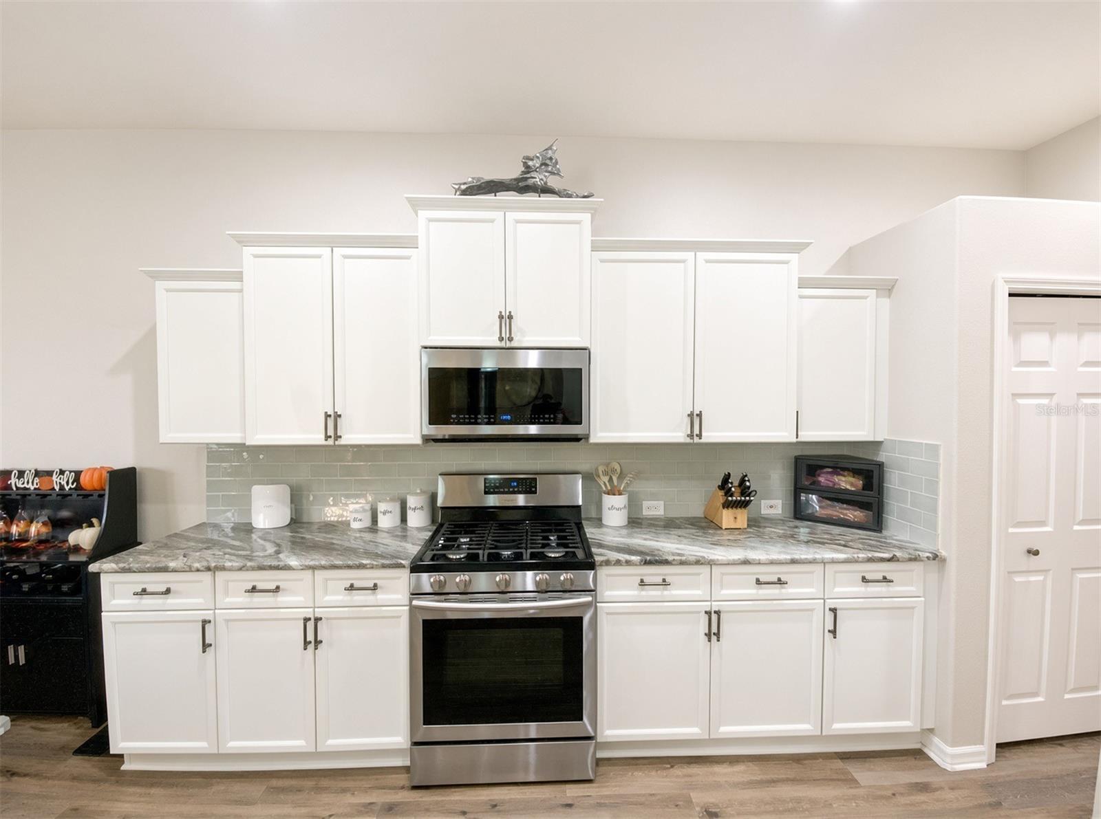 10528 GOOSEBERRY CT — photo 8