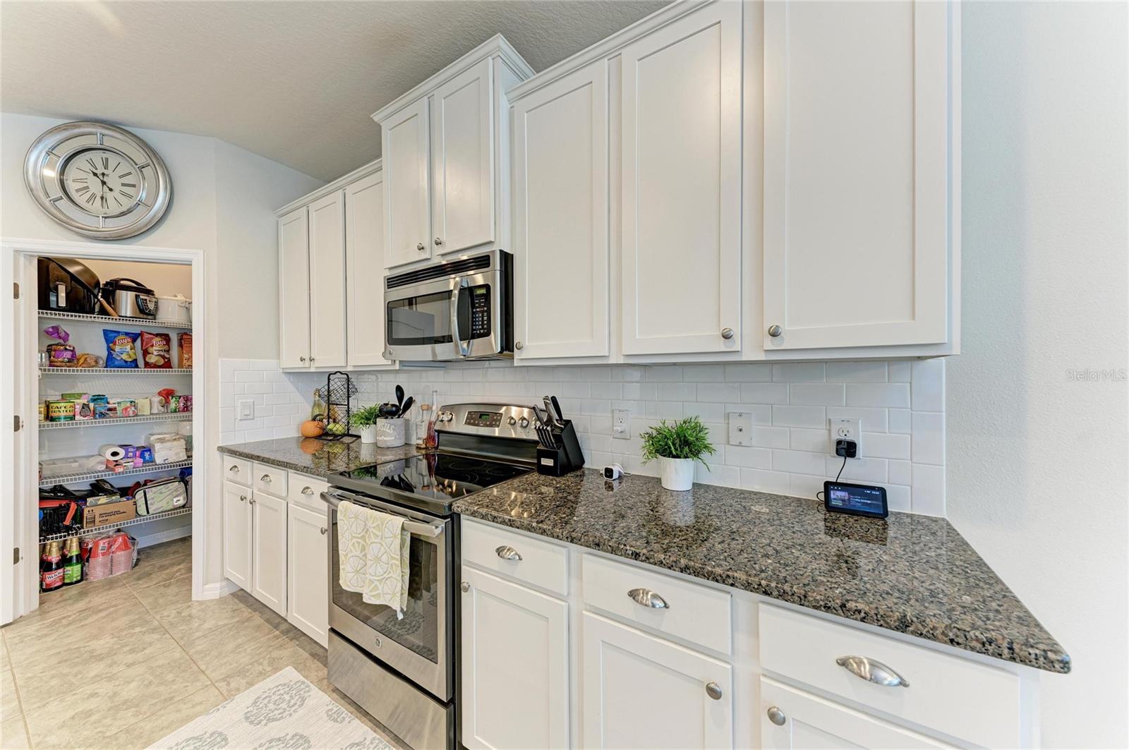 119 BRILLIANT BLOOM CT — photo 14