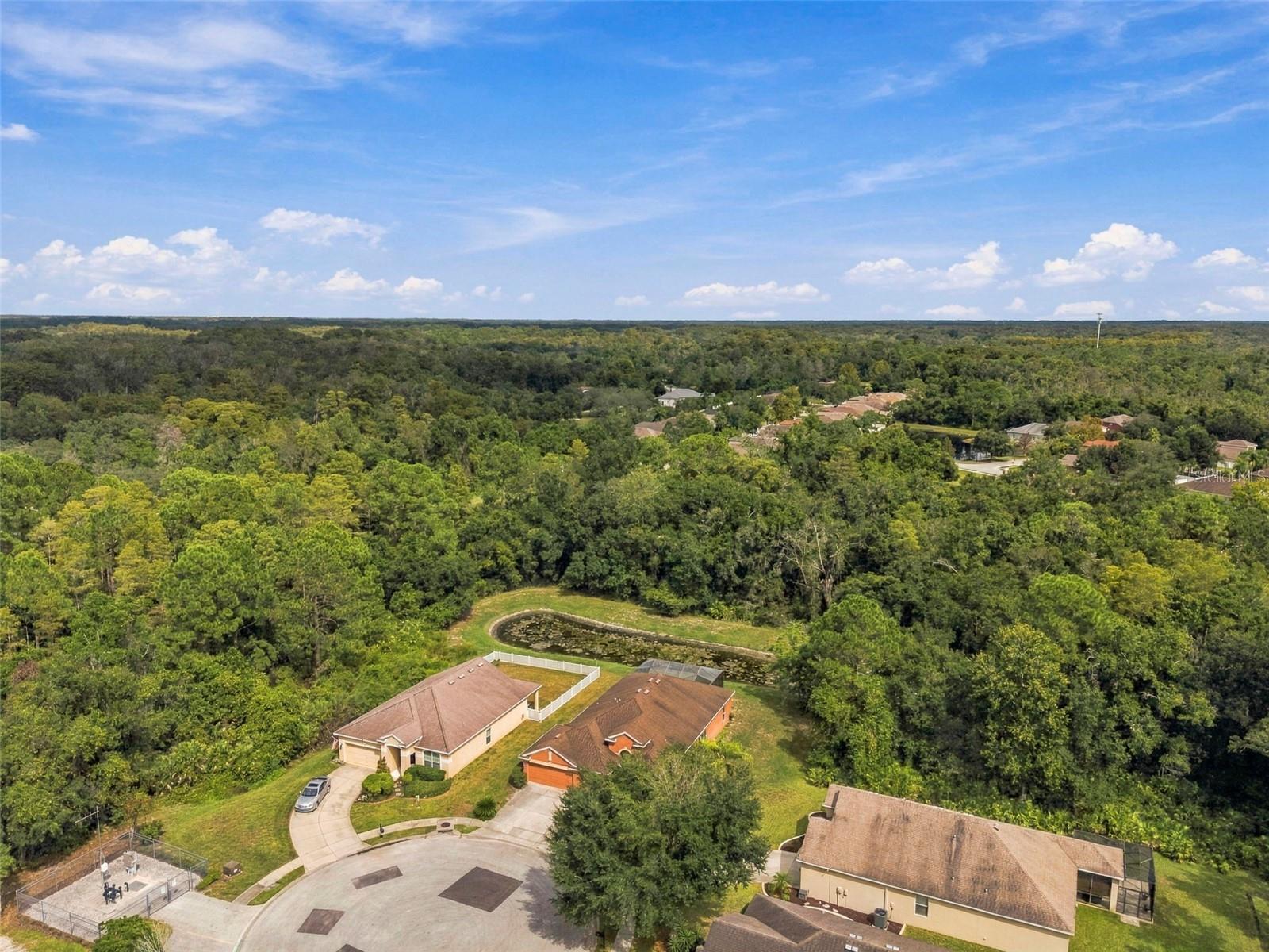 11002 BELLE HAVEN DR — photo 79