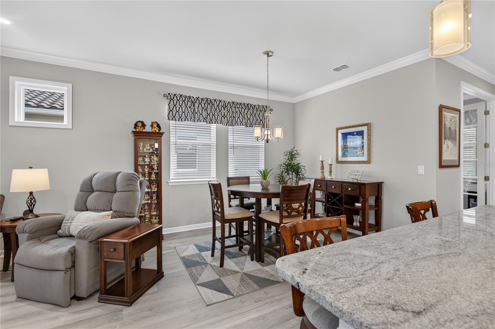 11598 ALESSANDRO LN — photo 19