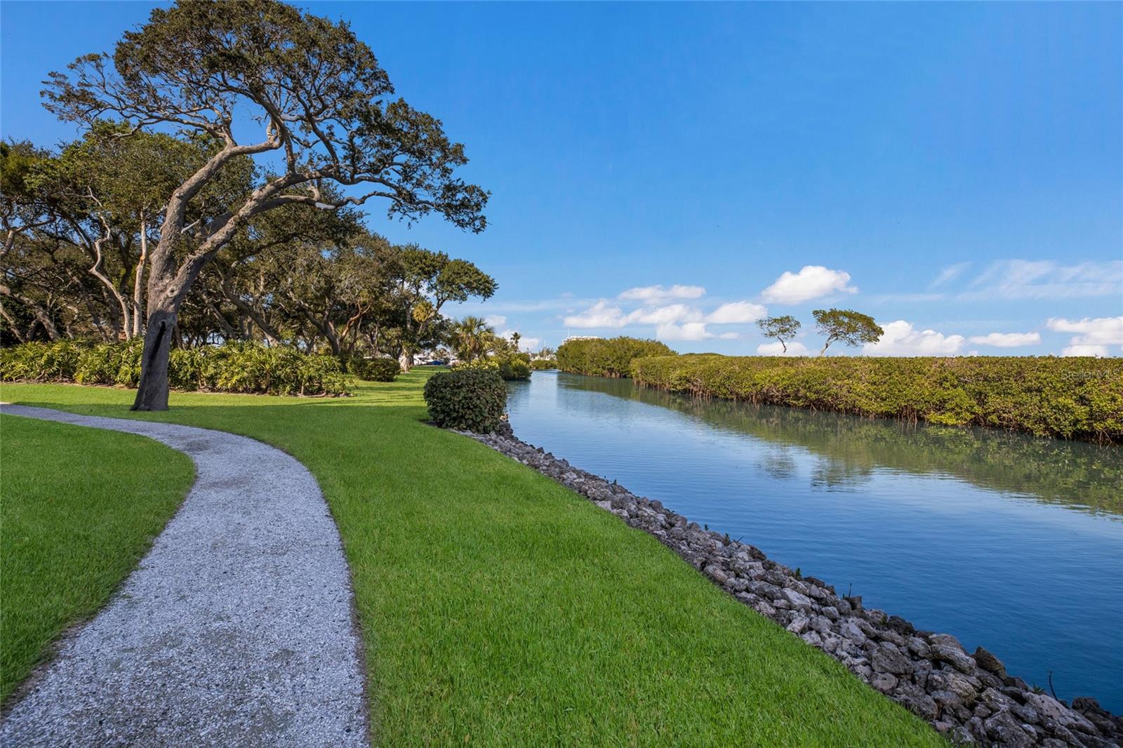 2550 HARBOURSIDE DR #333 — photo 39