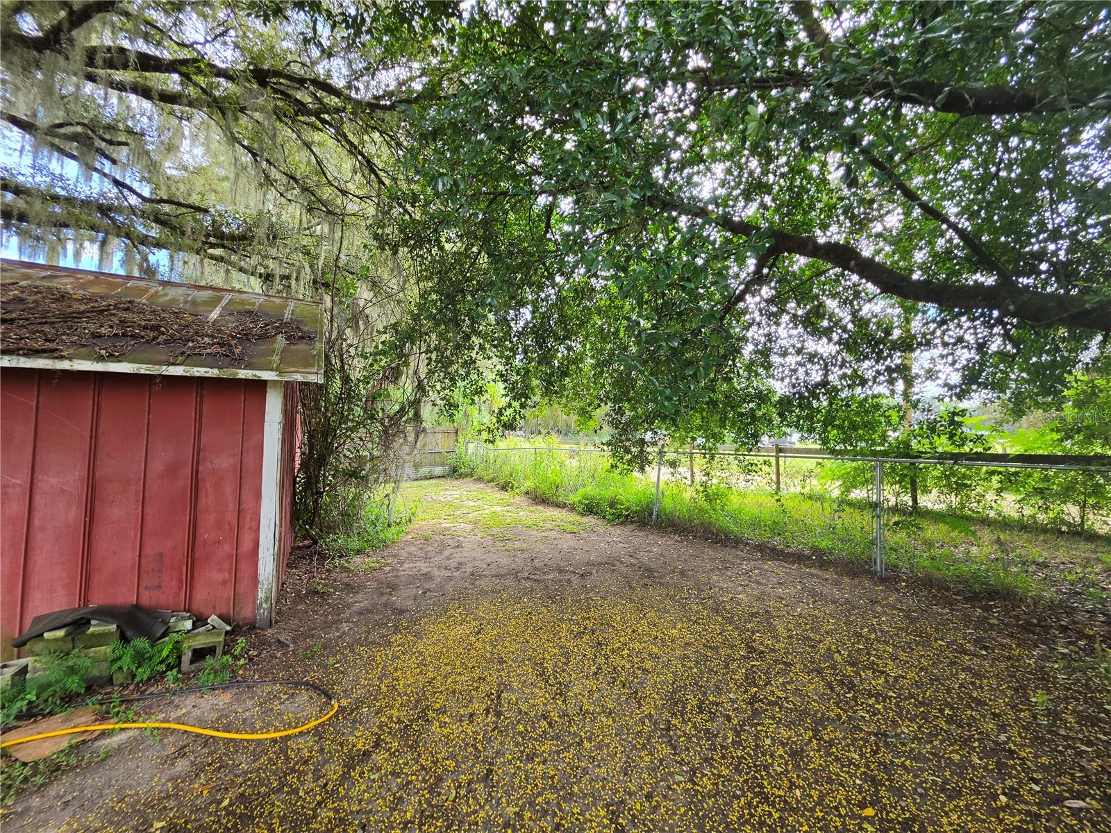 38202 RUTH AVE — photo 8