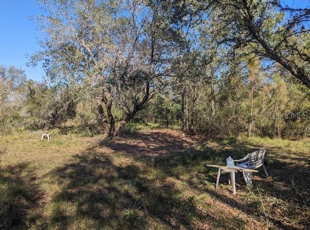 5570 JUEL GILL RD — photo 5