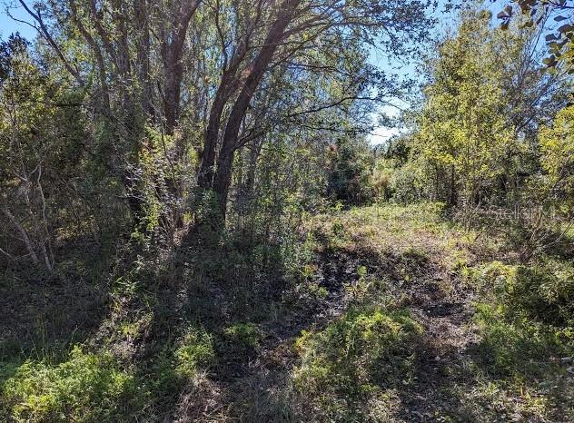 5570 JUEL GILL RD — photo 3