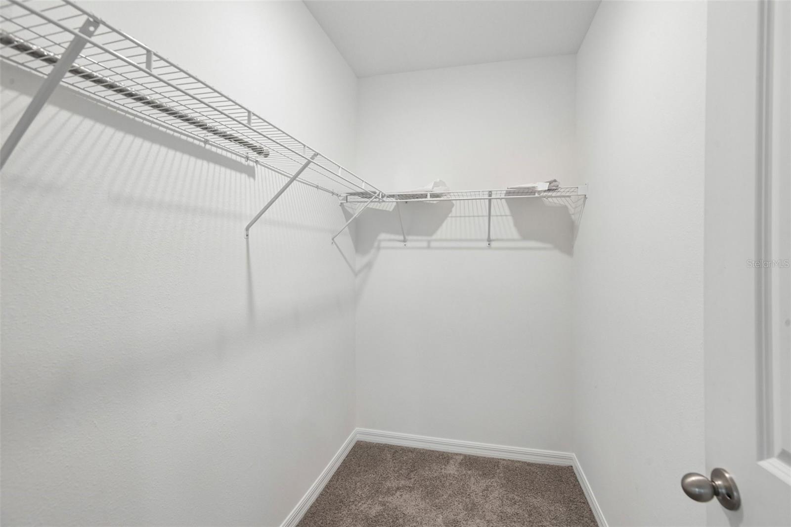 33319 DARLEY DALE TRL — photo 18