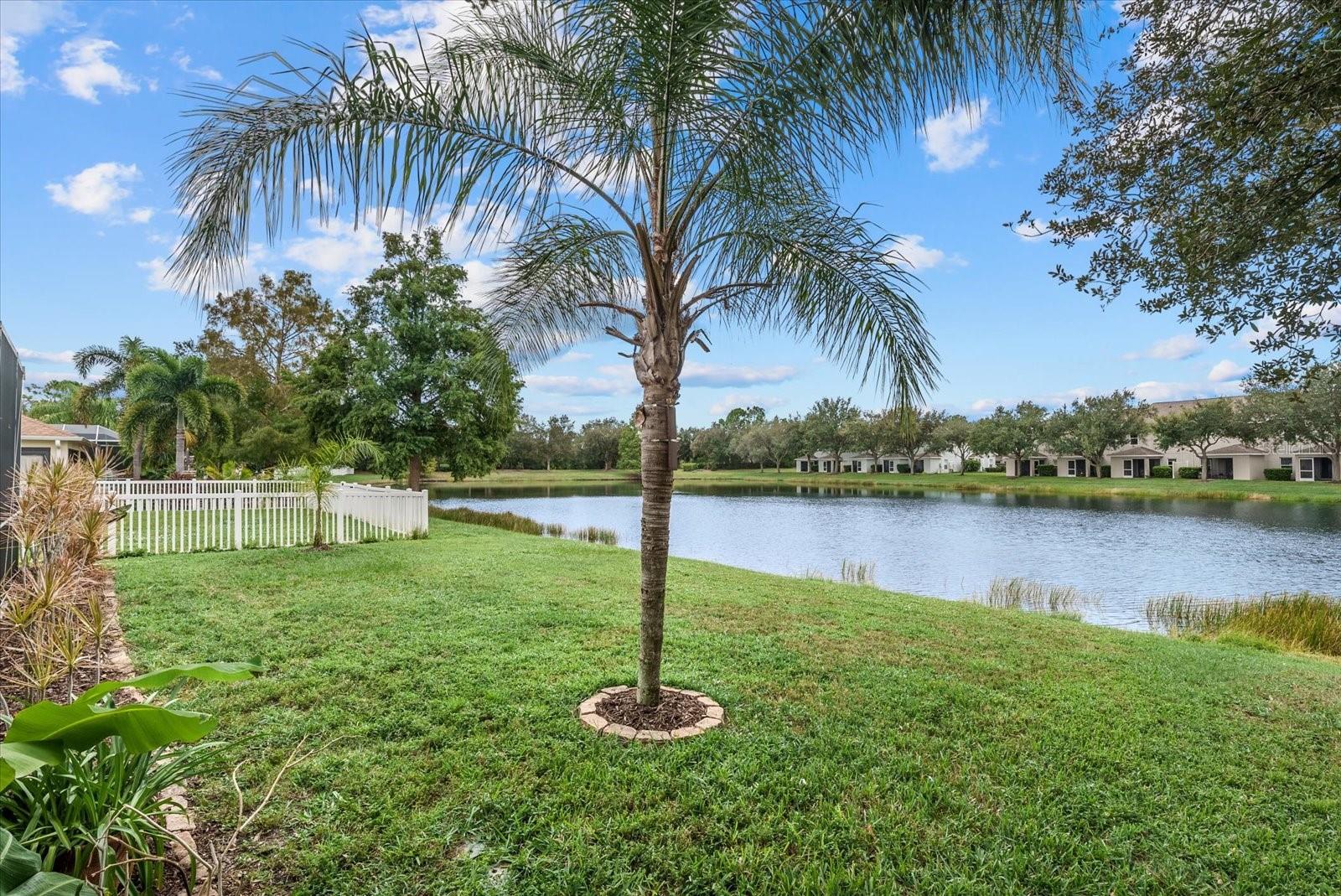 15302 SEAROBBIN DR — photo 44