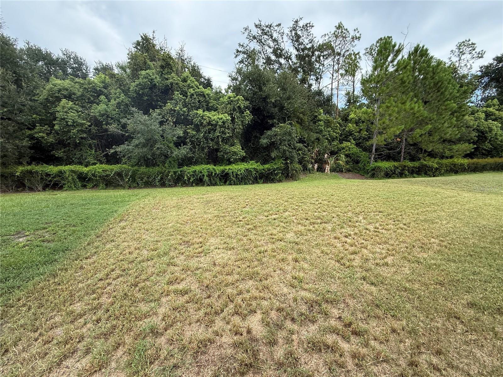 16702 SOUTHERN OAKS TRL — photo 29
