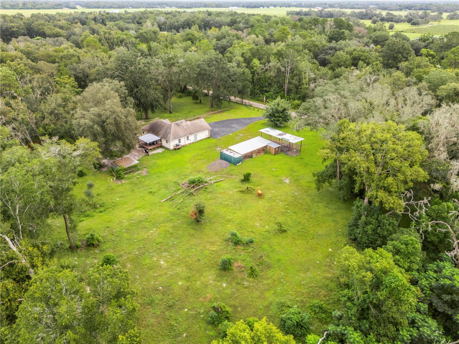 18145 BOOMING RD — photo 56