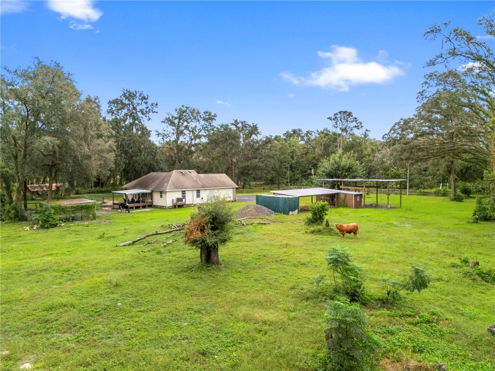 18145 BOOMING RD — photo 49