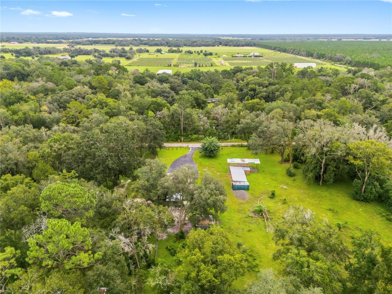 18145 BOOMING RD — photo 61
