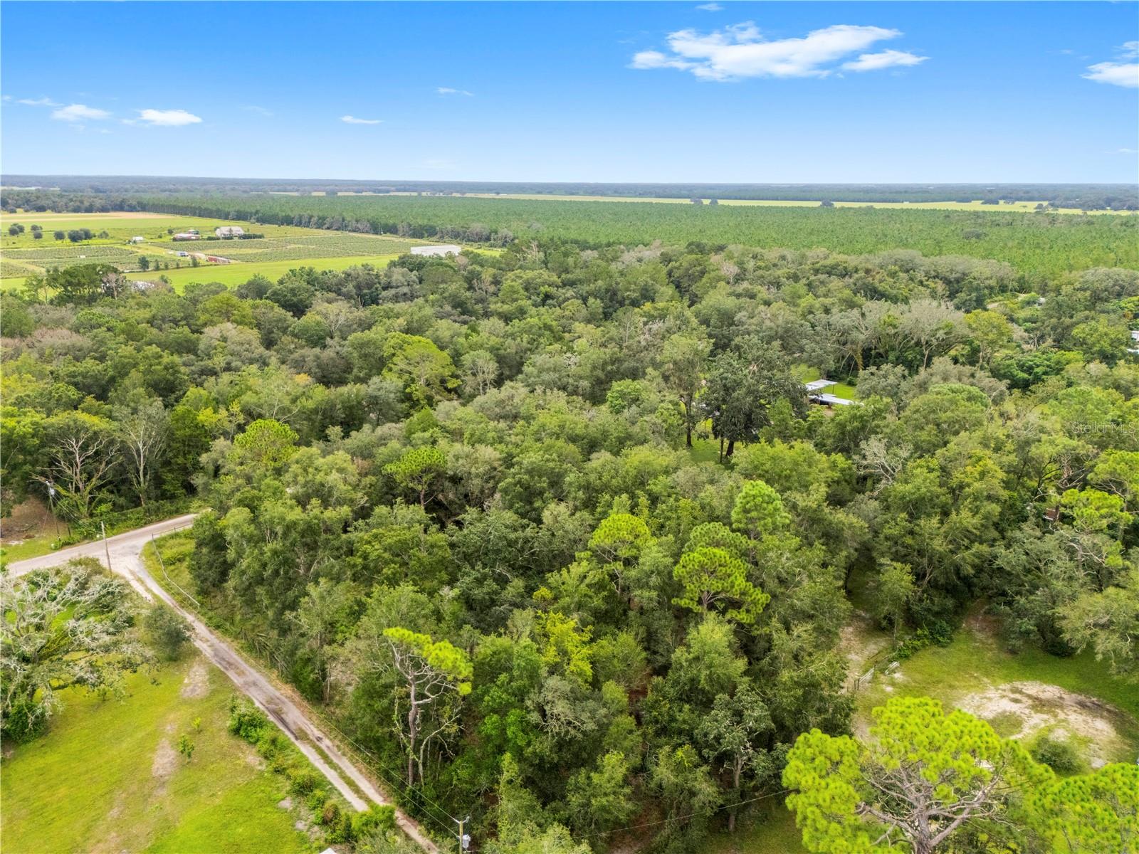 18145 BOOMING RD — photo 60