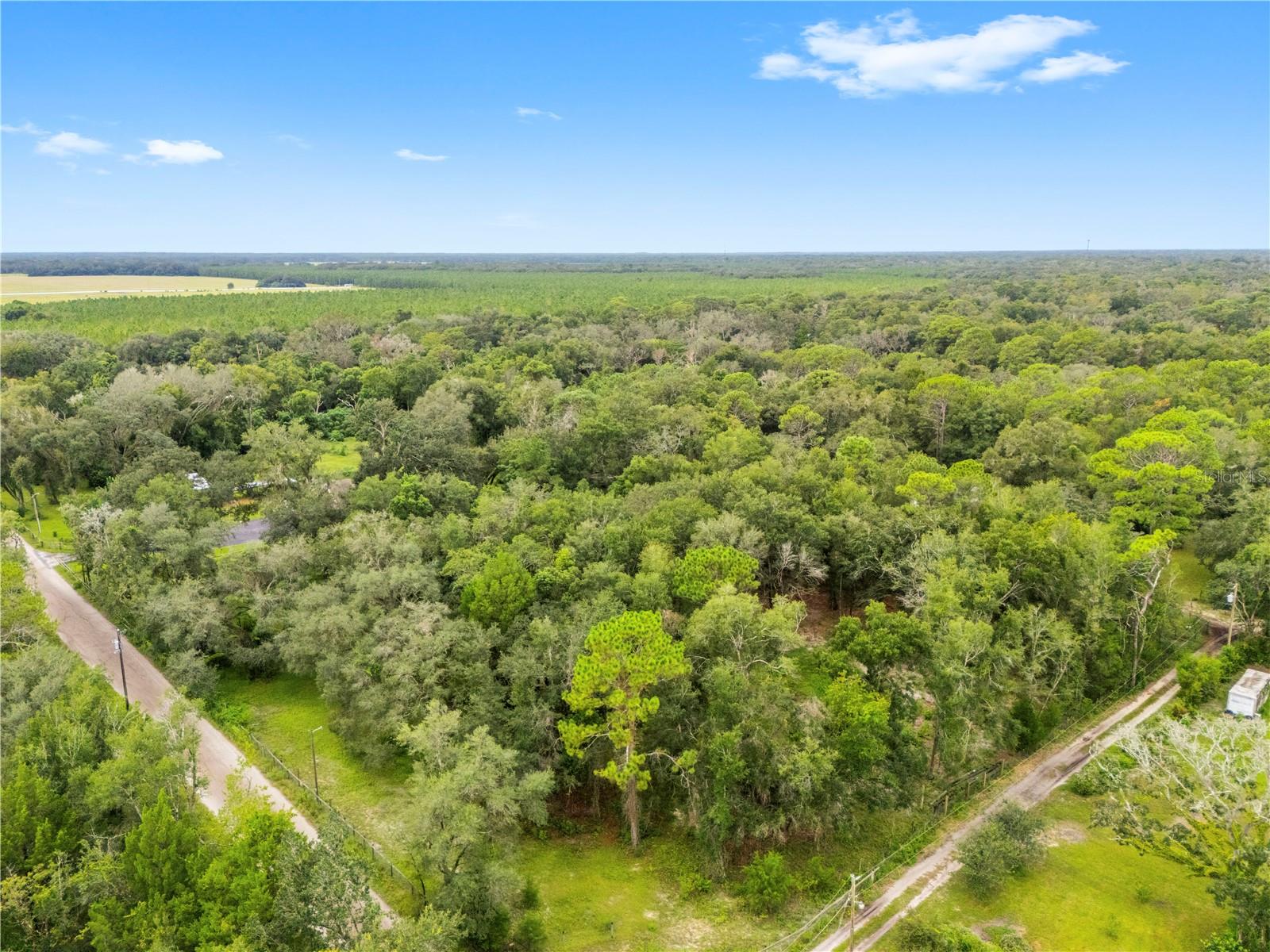 18145 BOOMING RD — photo 58