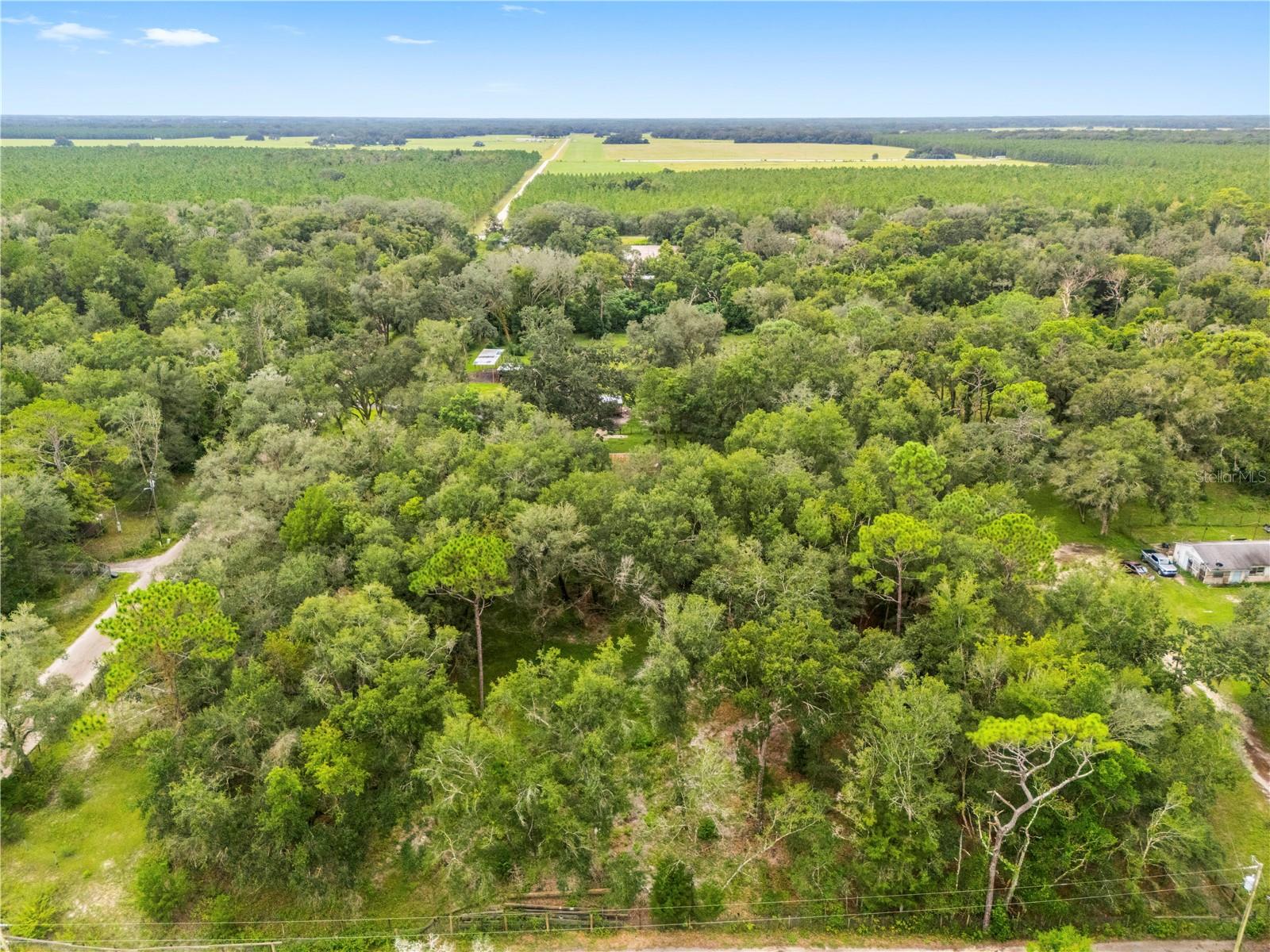 18145 BOOMING RD — photo 59