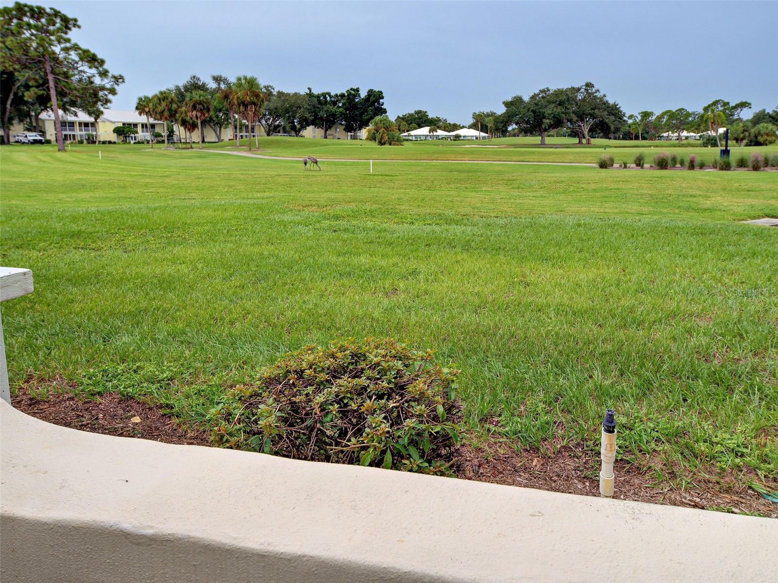 435 CERROMAR LN #329 — photo 33