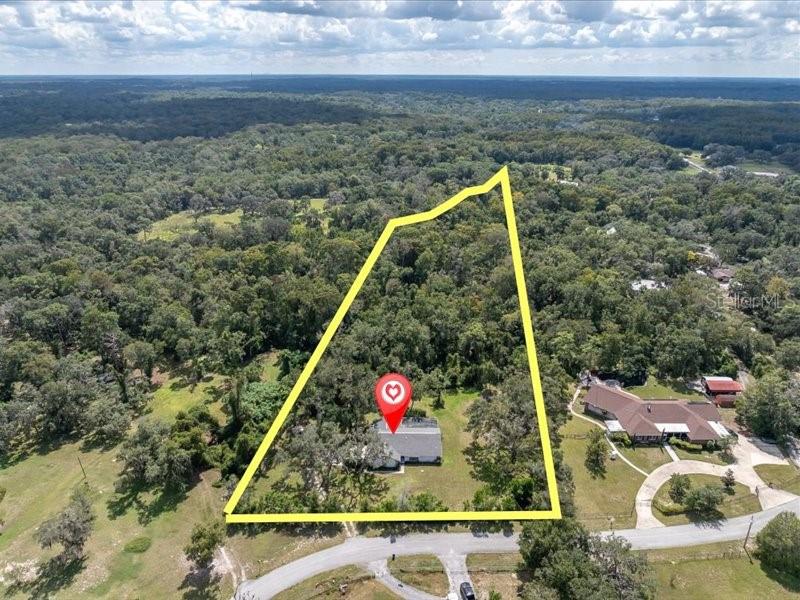 11211 PINE FOREST DR — photo 46