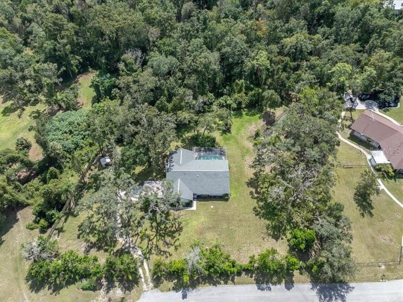 11211 PINE FOREST DR — photo 41