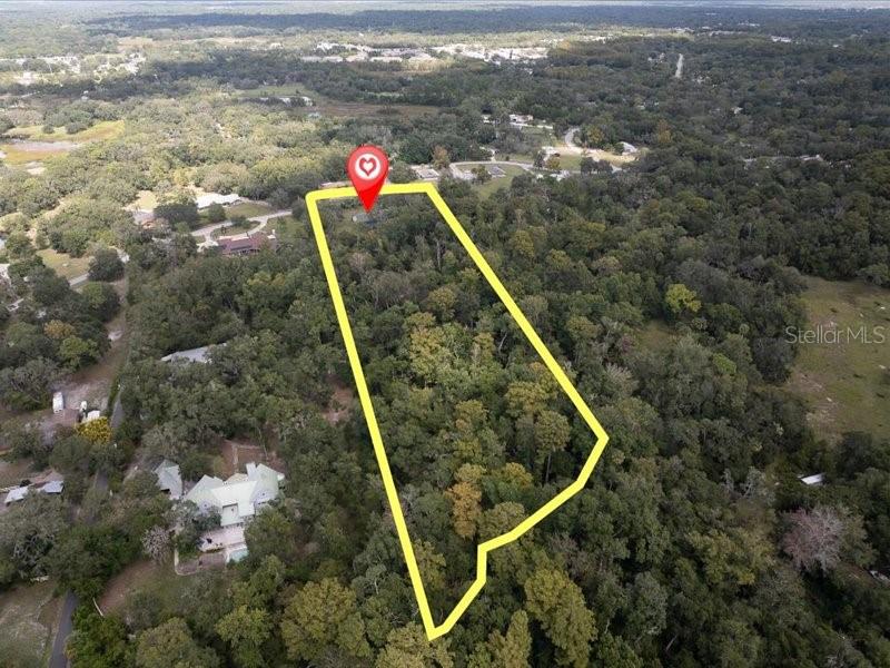 11211 PINE FOREST DR — photo 42