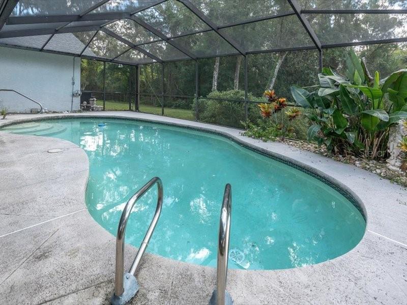 11211 PINE FOREST DR — photo 38