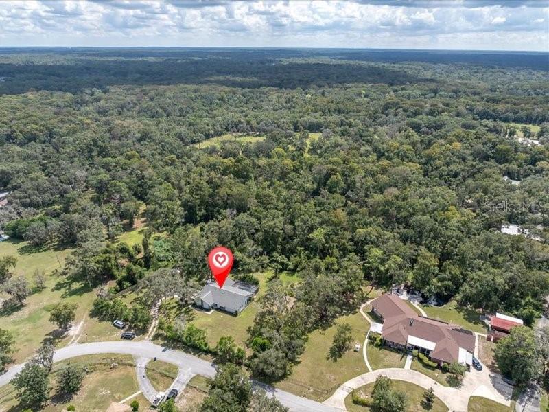 11211 PINE FOREST DR — photo 8