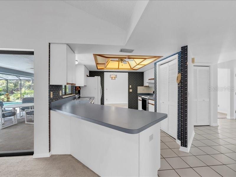 11211 PINE FOREST DR — photo 16