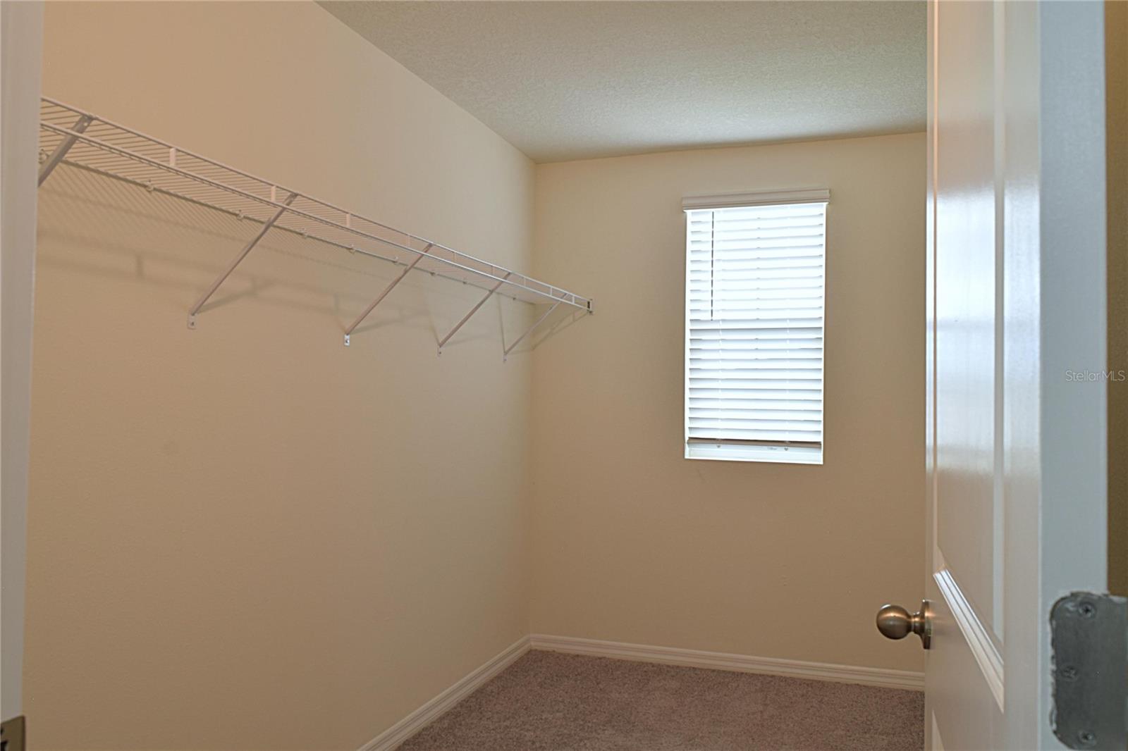 12106 DOWNY BIRCH DR — photo 23