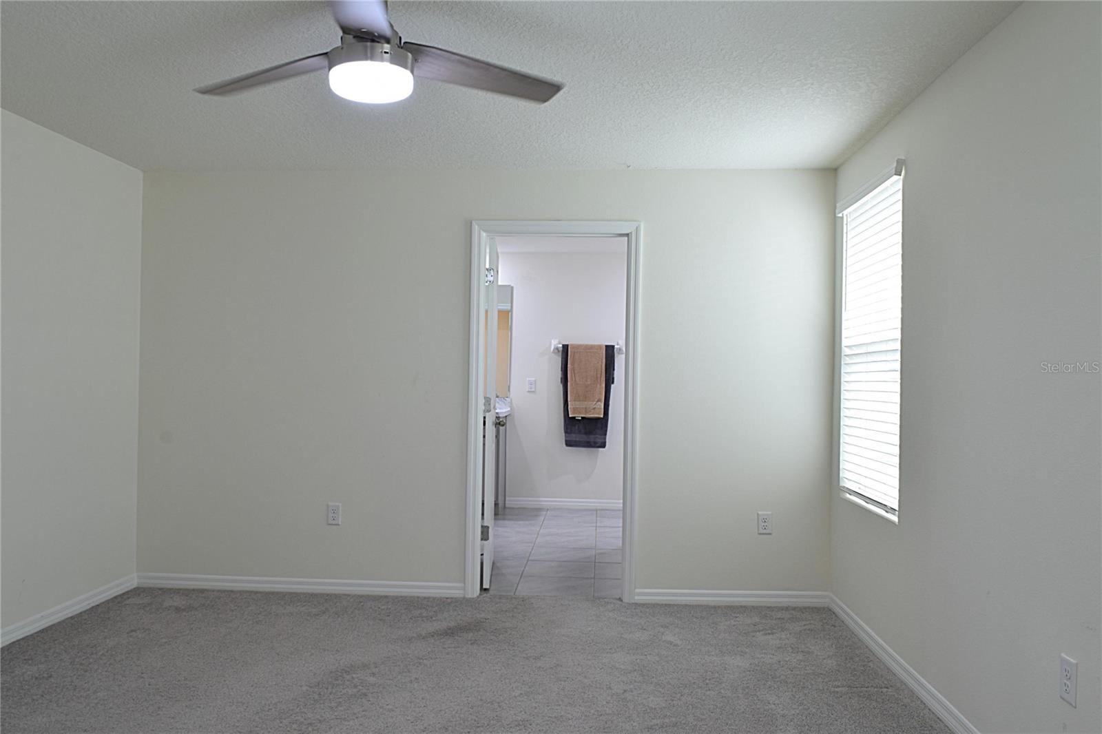 12106 DOWNY BIRCH DR — photo 21