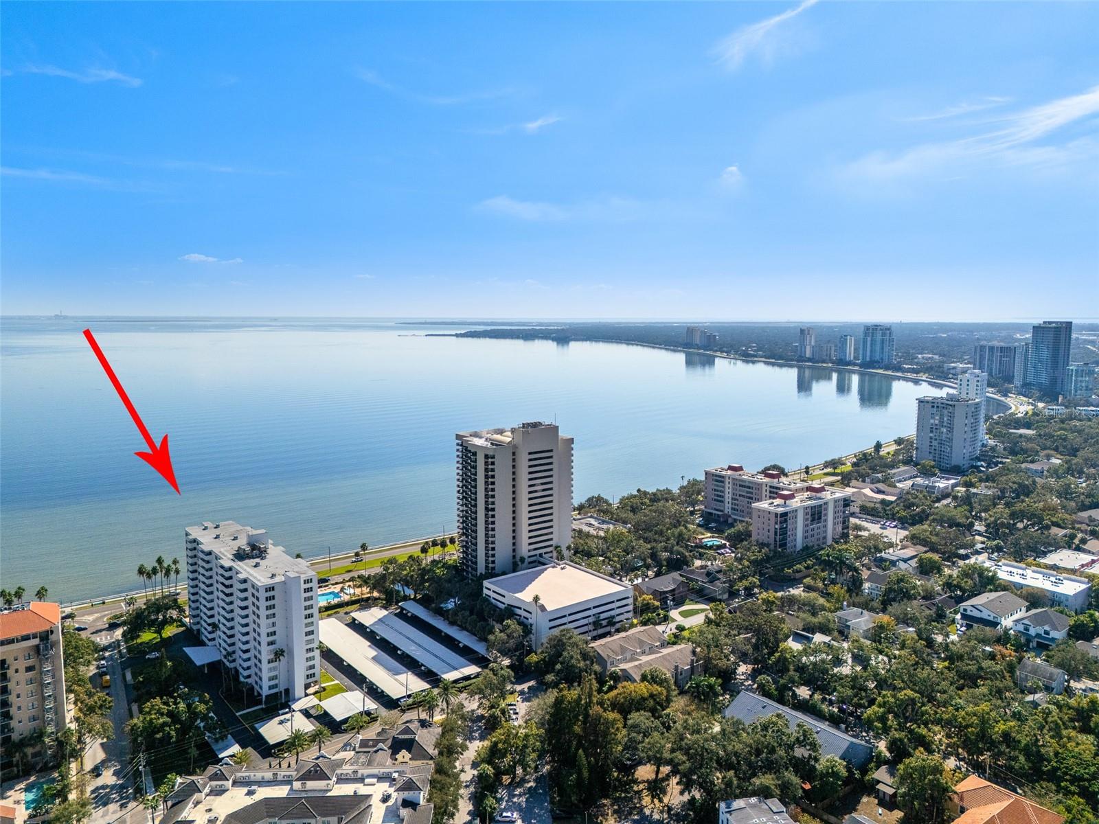 2401 BAYSHORE BLVD #203 — photo 61