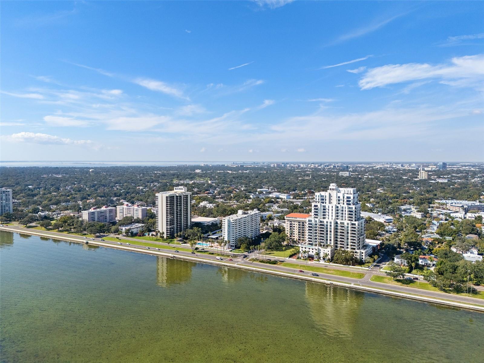2401 BAYSHORE BLVD #203 — photo 79