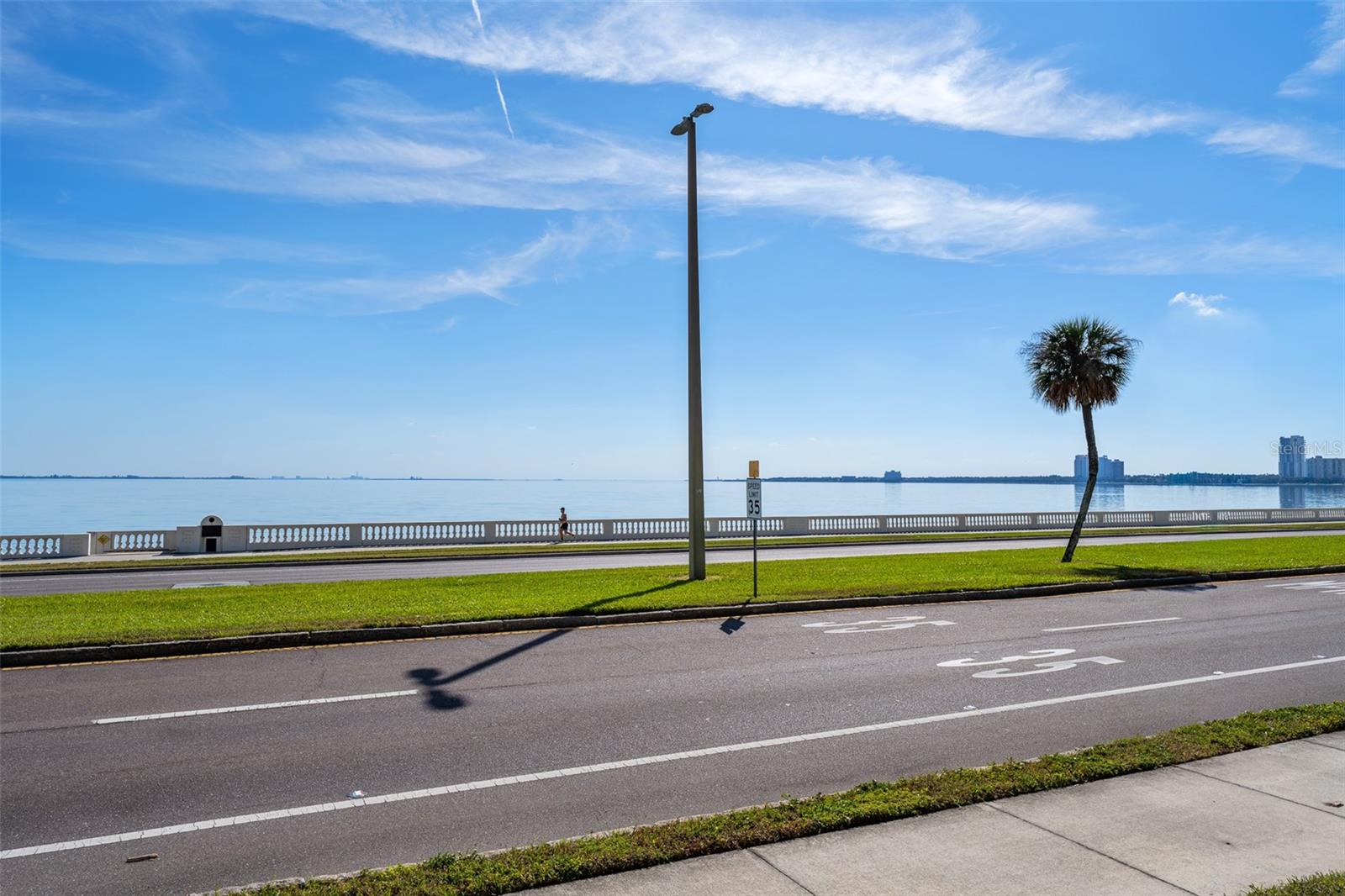 2401 BAYSHORE BLVD #203 — photo 86