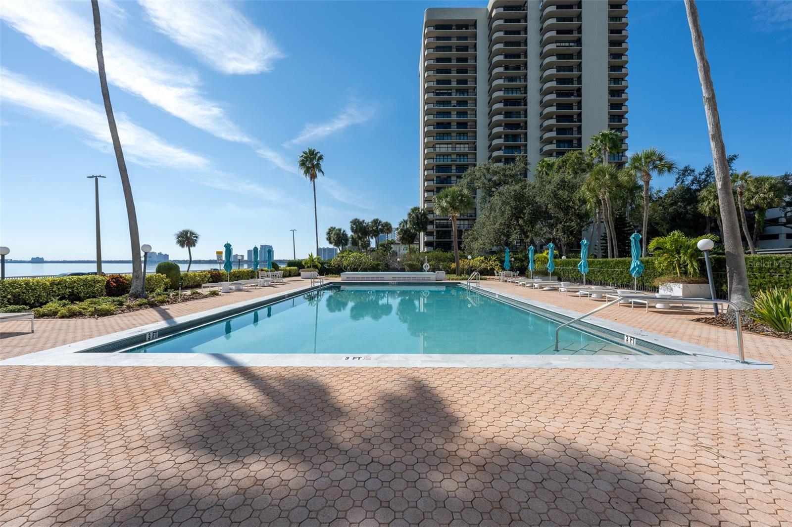 2401 BAYSHORE BLVD #203 — photo 40