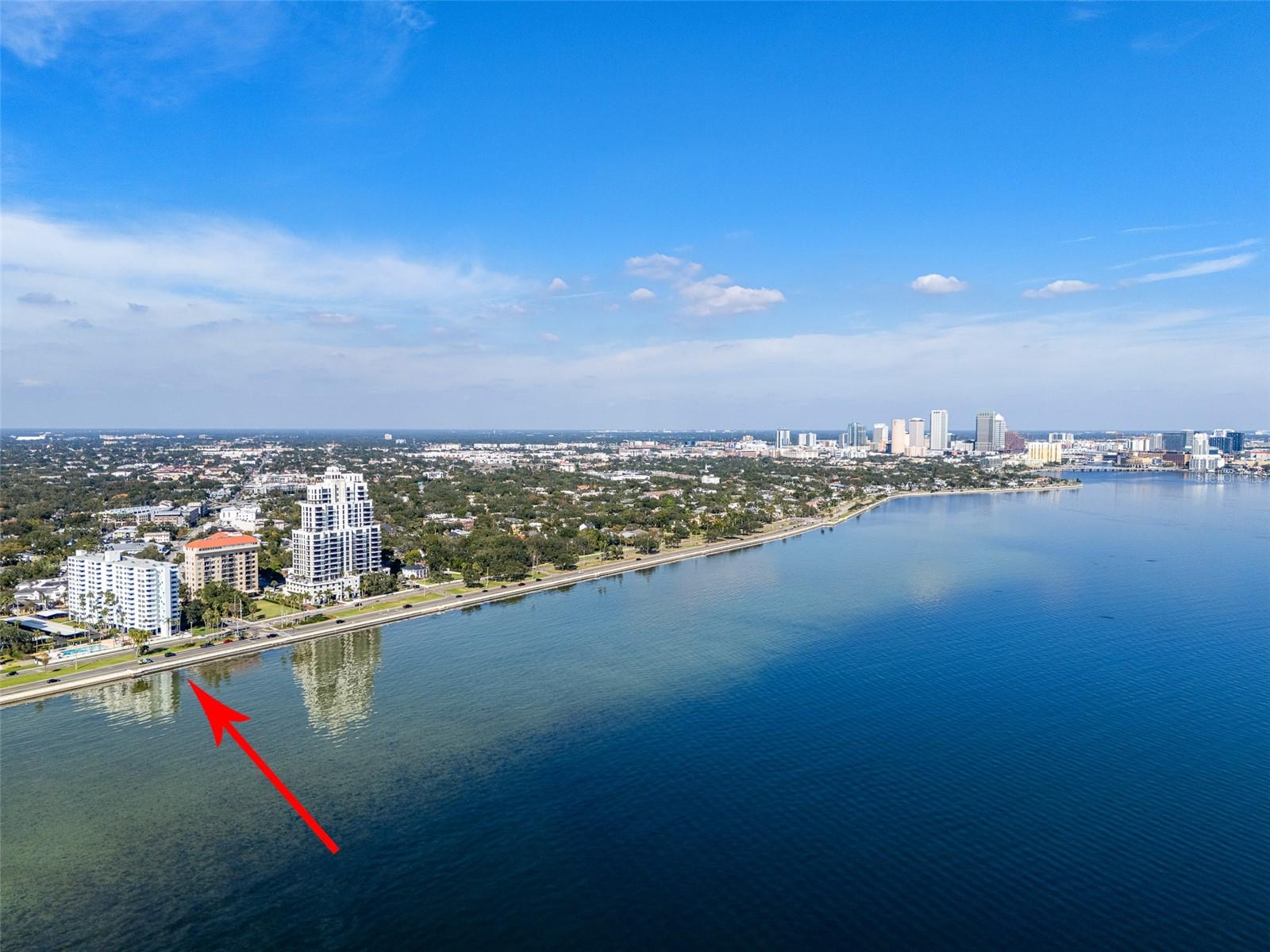 2401 BAYSHORE BLVD #203 — photo 67