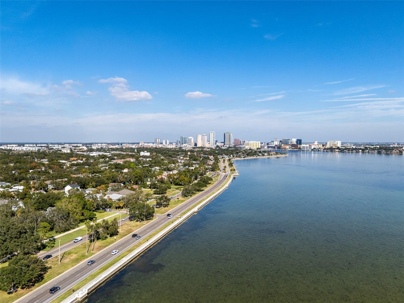 2401 BAYSHORE BLVD #203 — photo 66