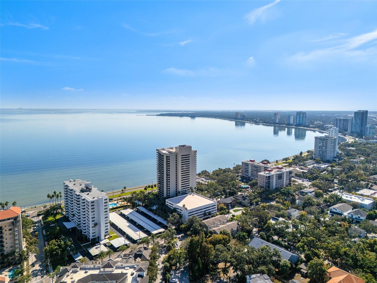2401 BAYSHORE BLVD #203 — photo 62