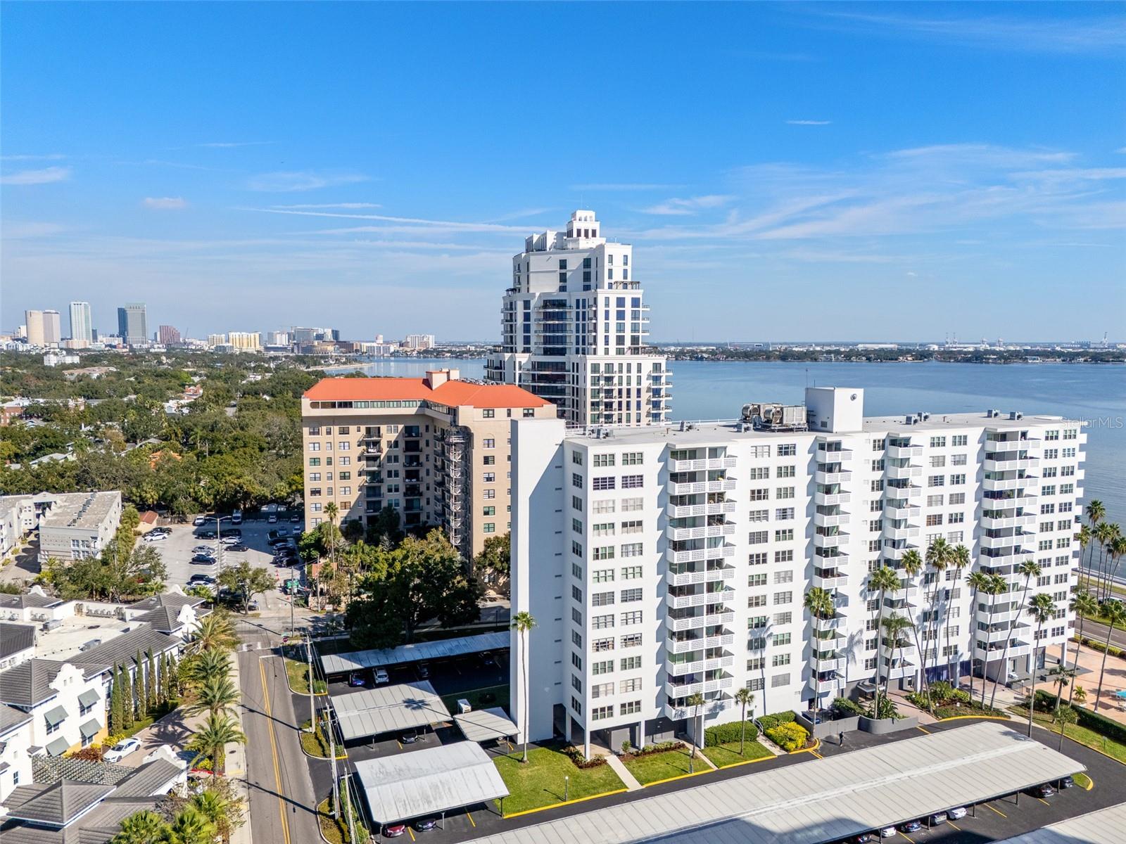 2401 BAYSHORE BLVD #203 — photo 60