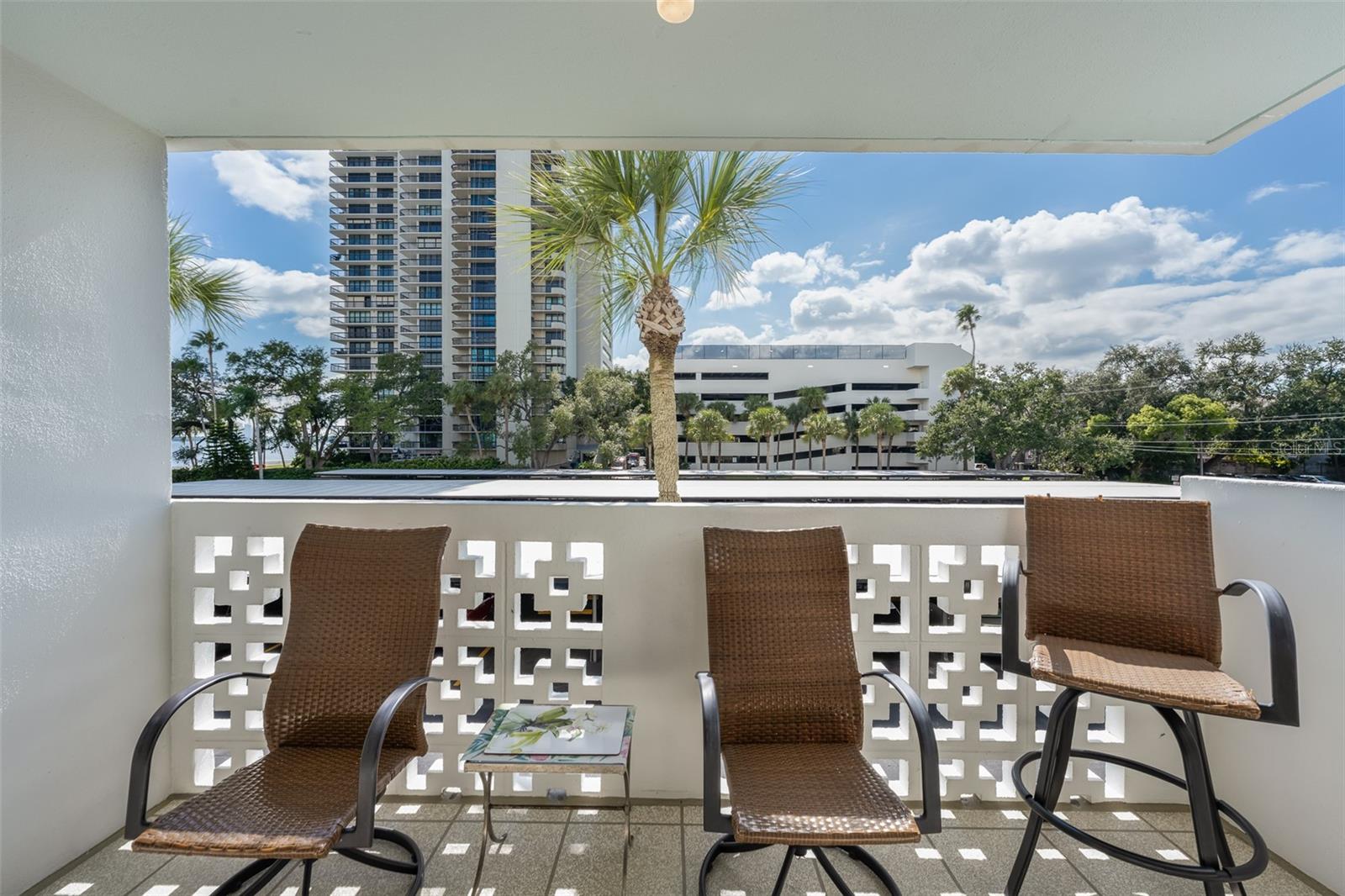 2401 BAYSHORE BLVD #203 — photo 16