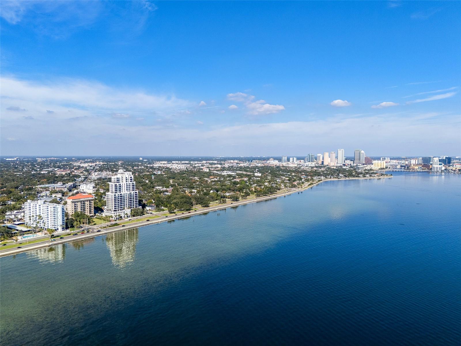 2401 BAYSHORE BLVD #203 — photo 68