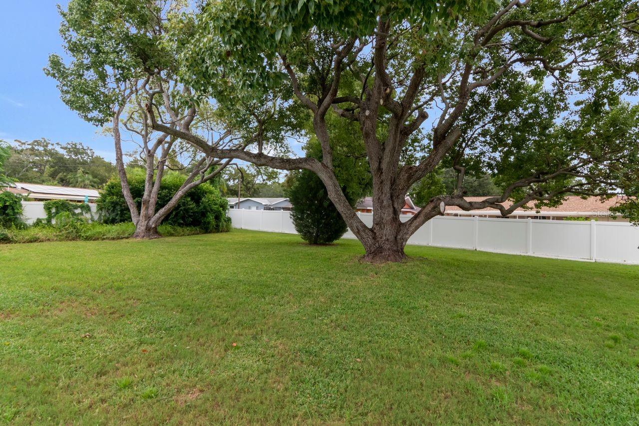 1113 GLENMOOR CT — photo 32