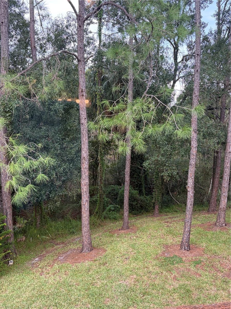 8660 HUNTERS KEY CIR — photo 26